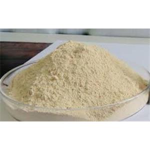 Ferric Orthophosphate