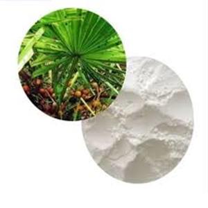 Saw Palmetto Extract