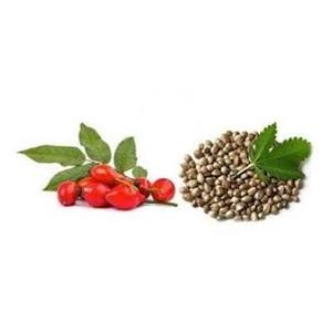 Rose Hip Extract