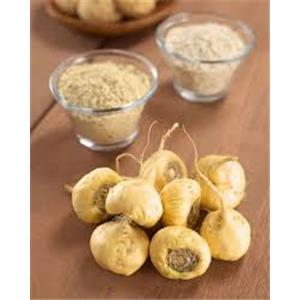 Maca Root Extract