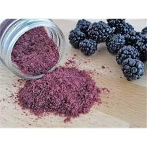 Blackberry Powder