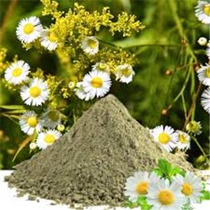 Chamomile Extract