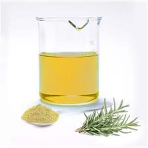 Rosemary Extract
