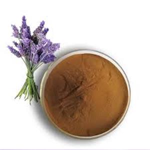 Lavender Extract