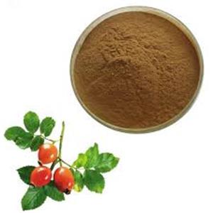 Rose Hip Extract