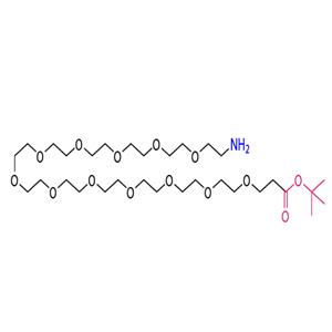 tert-butyl 1-amino-3,6,9,12,15,18,21,24,27,30,33,36-dodecaoxanonatriacontan-39-oate