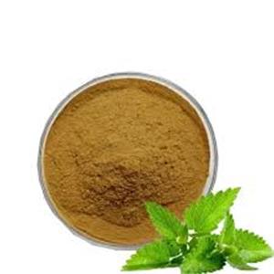 Lemon Balm Extract