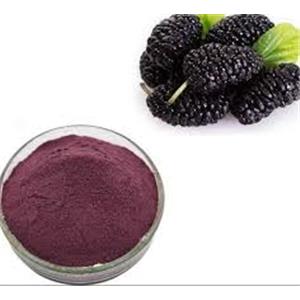 Mulberry Extract