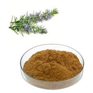 Rosemary Extract