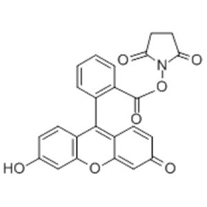 5(6)-Carboxyfluorescein N-succinimidyl ester