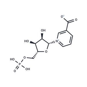 Nicotinic acid mononucleotide