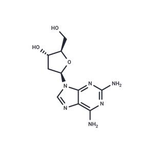 2-Amino-2'-deoxyadenosine
