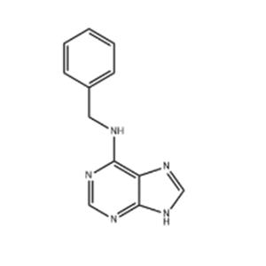 6-Benzylaminopurine (6-BA)