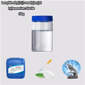 benzyldimethyl[2-[(1-oxoallyl)oxy]ethyl]ammonium chloride