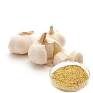Garlic Extract