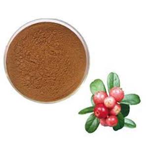 Rose Hip Extract