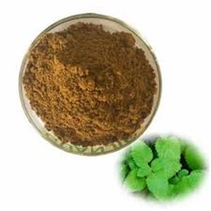 Lemon Balm Extract