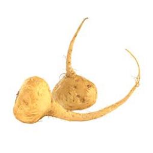 Maca Root Extract