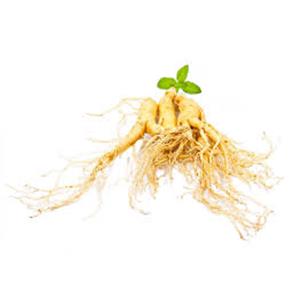 Siberian Ginseng Extract