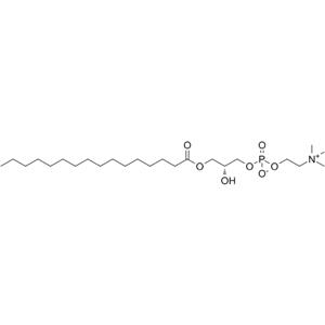 1-Palmitoyl-sn-glycero-3-phosphocholine