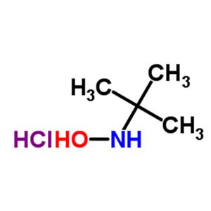 n-(tert-butyl)hydroxylamine hydrochloride