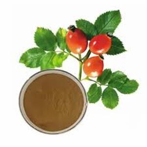Rose Hip Extract
