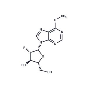 2'-Deoxy-2'-fluoroarabino-O6-methyl ? inosine