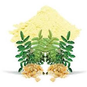 Boswellia Extract