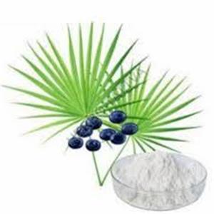 Saw Palmetto Extract