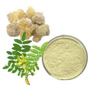 Boswellia Extract