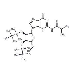 N2-iBu-2',3'-bis-O-TBDMS ? guanosine