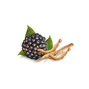 Siberian Ginseng Extract
