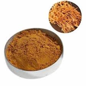 Cordyceps militaris Extract