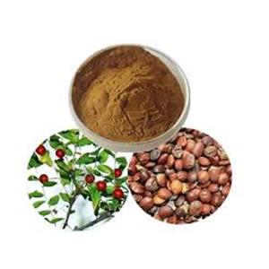 Zizyphus spinosa extract