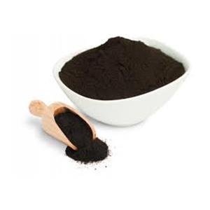 Shilajit Extract