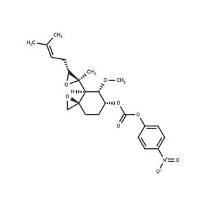 TSPO ligand-2?