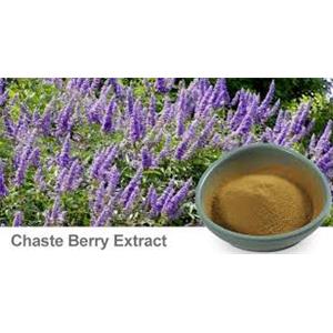 Chasteberry Extract