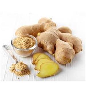 Ginger Extract