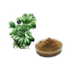 Siberian Ginseng Extract
