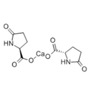 CALCIUM PIDOLATE