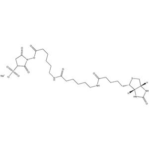 SULFO-NHS-LC-LC-BIOTIN