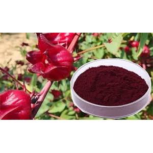 Roselle Extract