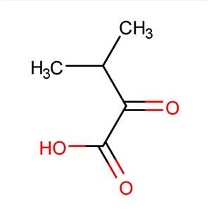 3-METHYL-2-OXOBUTYRIC ACIDDISCONTINUED