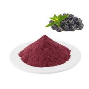 Blackberry Powder