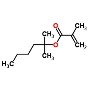 2-Methyl-2-hexanyl methacrylate
