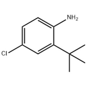 4-Chloro-2-(1,1-dimethylethyl)benzenamine