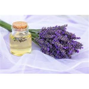 Lavender Extract