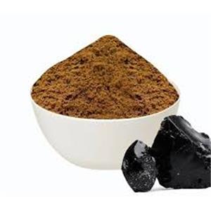 Shilajit Extract