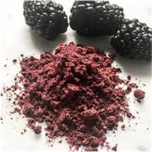 Blackberry Powder