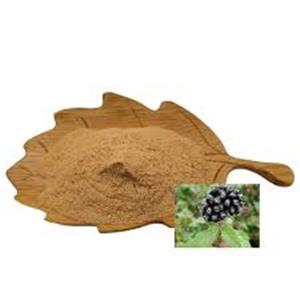 Siberian Ginseng Extract